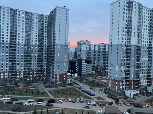 Продам однокомнатную (1-комн.) квартиру, Дальневосточный пр-кт, 33к1, Санкт-Петербург г