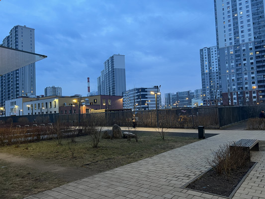 Продам однокомнатную (1-комн.) квартиру, Дальневосточный пр-кт, 33к1, Санкт-Петербург г