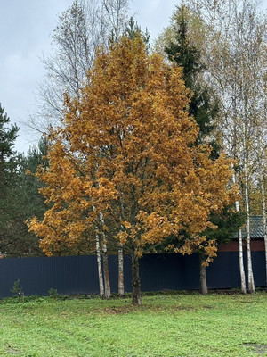 Продам участок 15 соток, Фермерское хоз., ДСК Островка тер, Покровское (сп Часцовское) с, 0 км от города