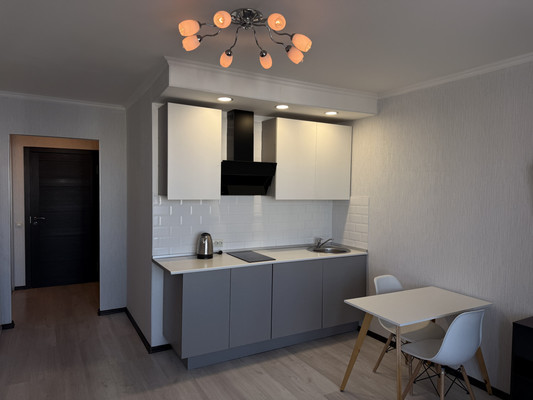 Сдам однокомнатную (1-комн.) квартиру, Екатерининская ул, 10, Мурино п