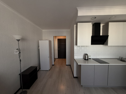 Сдам однокомнатную (1-комн.) квартиру, Екатерининская ул, 10, Мурино п