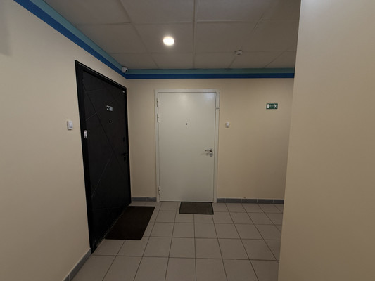 Сдам однокомнатную (1-комн.) квартиру, Екатерининская ул, 10, Мурино п