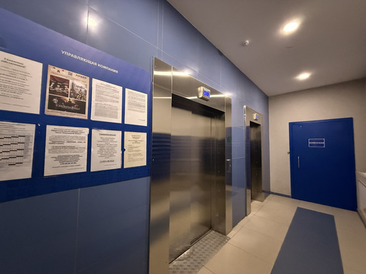 Сдам однокомнатную (1-комн.) квартиру, Екатерининская ул, 10, Мурино п