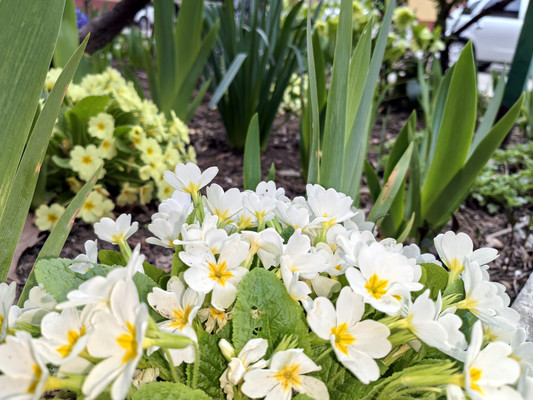 Продам однокомнатную (1-комн.) квартиру, Лазурная ул, 16, Анапа г