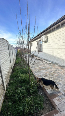 Продам дом, Подгорная ул, 5, Мирное с, 0 км от города