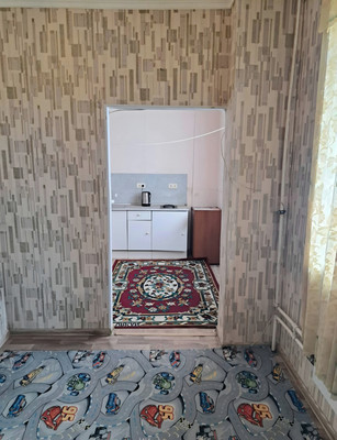 Продам однокомнатную (1-комн.) квартиру, Нива гск, 14, Литвиново п