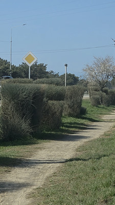 Продам участок 6 соток, ИЖС, Лесная ул, 45, Николаевка пгт, 0 км от города