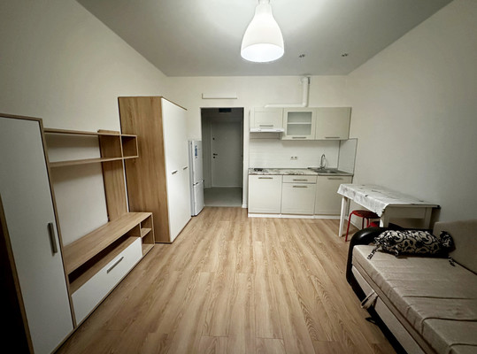 Сдам однокомнатную (1-комн.) квартиру, Александры Монаховой ул, 89к2, Коммунарка п