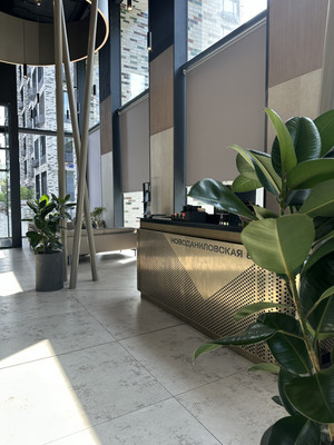 Сдам двухкомнатную (2-комн.) квартиру, Новоданиловская наб, 8к1, Москва г