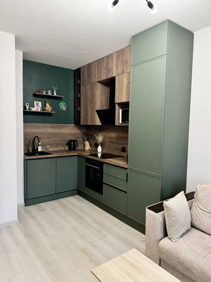 Сдам однокомнатную (1-комн.) квартиру, Железнодорожный пр-кт, 14к1, Санкт-Петербург г