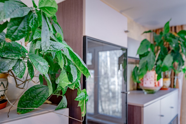 Продам трехкомнатную (3-комн.) квартиру, Стачек пр-кт, 212А, Санкт-Петербург г