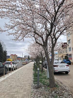 Сдам однокомнатную (1-комн.) квартиру, Ленина ул, 201, Горячий Ключ г