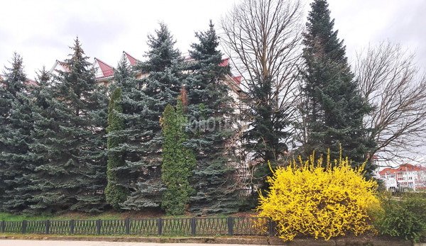 Сдам однокомнатную (1-комн.) квартиру, Ленина ул, 201, Горячий Ключ г