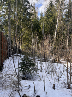 Продам коттедж, Надовражино д, 0 км от города