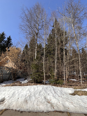 Продам участок 24 соток, Садоводство, ДНП Полевой стан тер, Надовражино д, 0 км от города