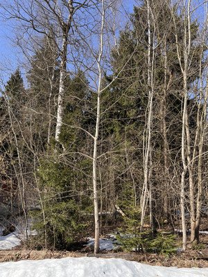 Продам участок 24 соток, Садоводство, ДНП Полевой стан тер, Надовражино д, 0 км от города