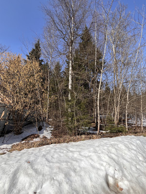 Продам участок 24 соток, Садоводство, ДНП Полевой стан тер, Надовражино д, 0 км от города