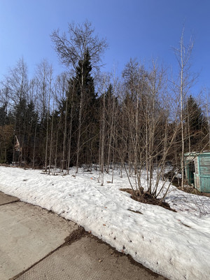 Продам участок 24 соток, Садоводство, ДНП Полевой стан тер, Надовражино д, 0 км от города