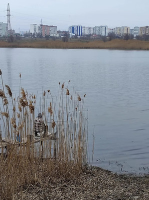 Продам участок 20 соток, ИЖС, Береговая ул, 37, Волгодонск г, 0 км от города