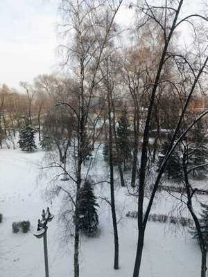 Продам двухкомнатную (2-комн.) квартиру, Курако (Центральный р-н) пр-кт, 30, Новокузнецк г