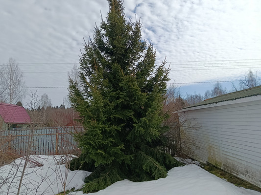 Продам дачу, 36, Ащерино д, 0 км от города