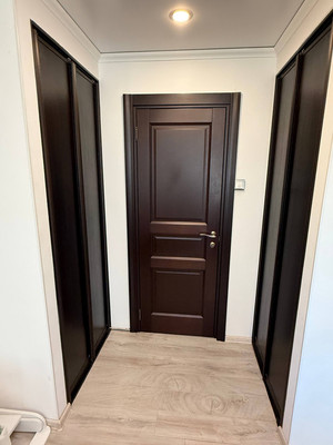 Продам трехкомнатную (3-комн.) квартиру, Турку ул, 20к1, Санкт-Петербург г