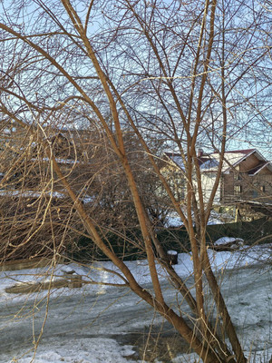 Продам трехкомнатную (3-комн.) квартиру, 5-я Железнодорожная ул, 51, Иркутск г