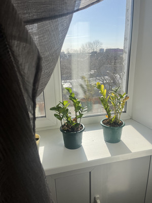 Продам трехкомнатную (3-комн.) квартиру, Совнаркомовская ул, 34, Нижний Новгород г