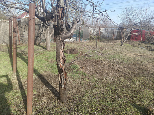 Продам дачу, Ажурная ул, 27, Ростов-на-Дону г, 0 км от города