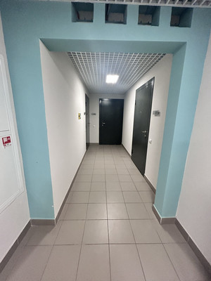 Продам однокомнатную (1-комн.) квартиру, Муринская дор, 8к2, Санкт-Петербург г