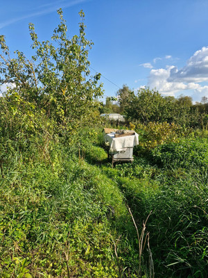 Продам дом, Скворицы массив, 0 км от города