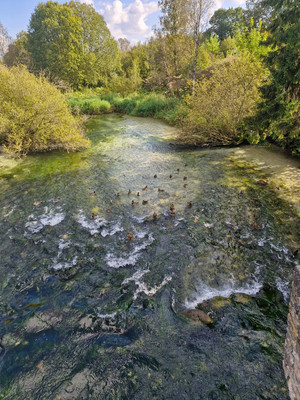 Продам дом, Скворицы массив, 0 км от города