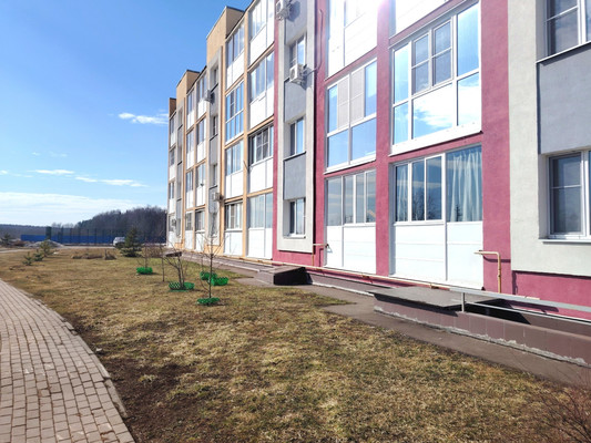 Продам однокомнатную (1-комн.) квартиру, Садовая ул, 16к2, Чёрная д