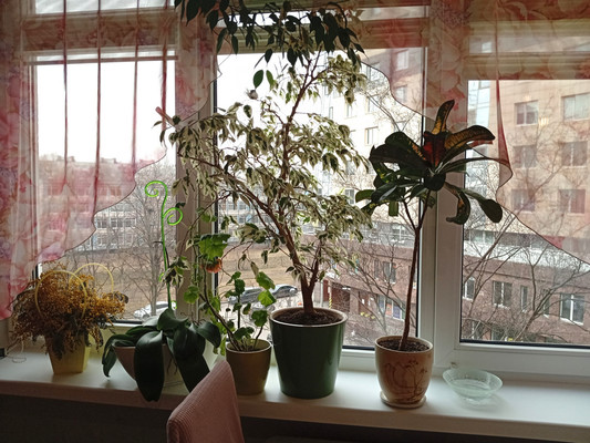 Продам двухкомнатную (2-комн.) квартиру, Большевиков пр-кт, 9Щк1, Санкт-Петербург г