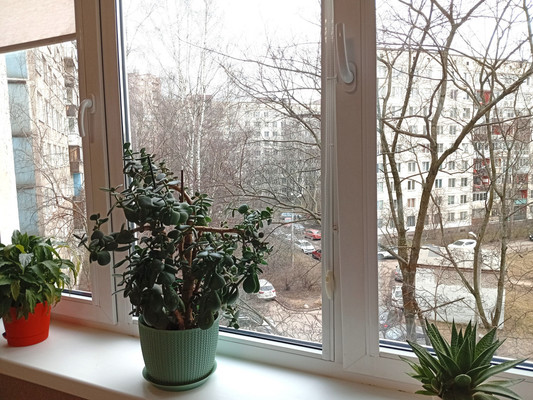 Продам двухкомнатную (2-комн.) квартиру, Большевиков пр-кт, 9Щк1, Санкт-Петербург г