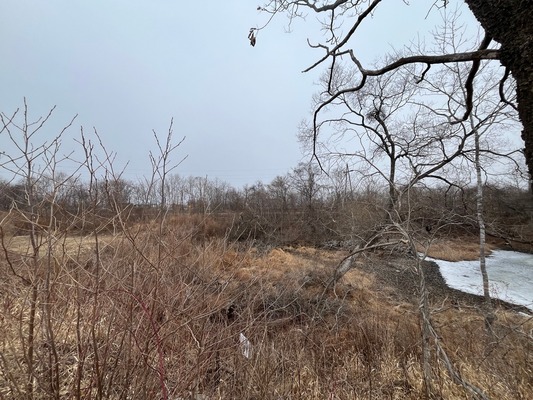 Продам участок 16 соток, Фермерское хоз., Теплый стан ул, 122, Фокино г, 0 км от города