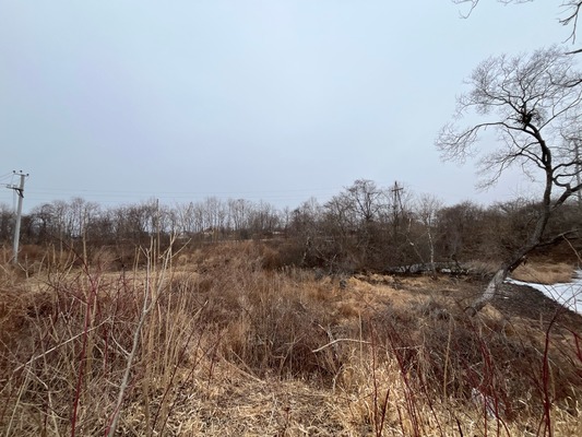 Продам участок 16 соток, Фермерское хоз., Теплый стан ул, 122, Фокино г, 0 км от города