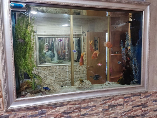 Продам трехкомнатную (3-комн.) квартиру, Академика Павлова ул, 25, Казань г