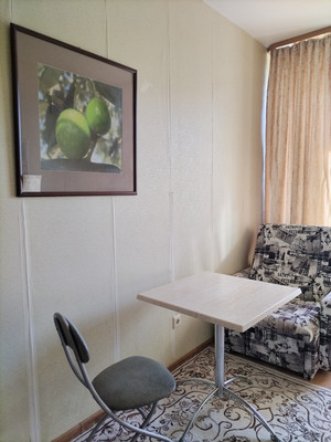 Продам однокомнатную (1-комн.) квартиру, Авиаторов Балтики пр-кт, 1к1, Мурино п