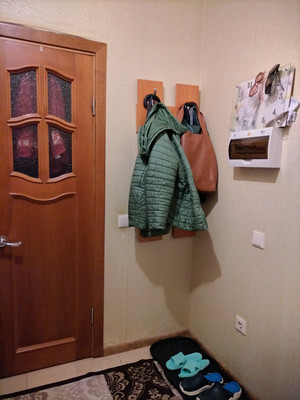 Продам однокомнатную (1-комн.) квартиру, Авиаторов Балтики пр-кт, 1к1, Мурино п