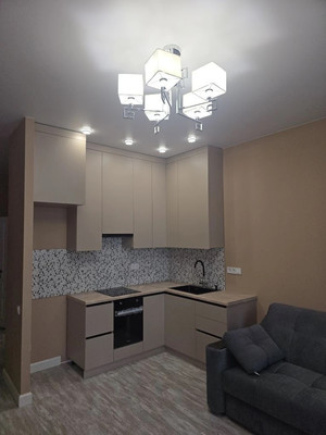 Продам однокомнатную (1-комн.) квартиру, Рахманинова ул, 14, Борисовка д