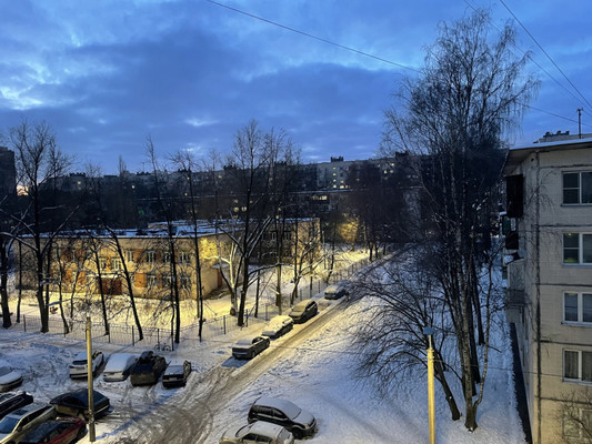 Продам трехкомнатную (3-комн.) квартиру, Культуры пр-кт, 29Ак7, Санкт-Петербург г