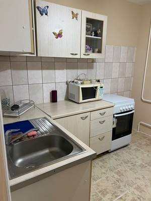 Сдам однокомнатную (1-комн.) квартиру, Реки Оккервиль наб, 4, Санкт-Петербург г