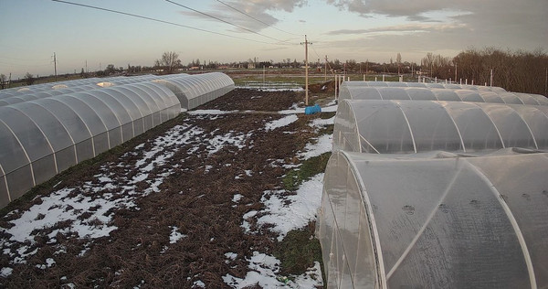 Продам землю для коммерческого использования 12 000 соток, Фермерское хоз., Желябовка с