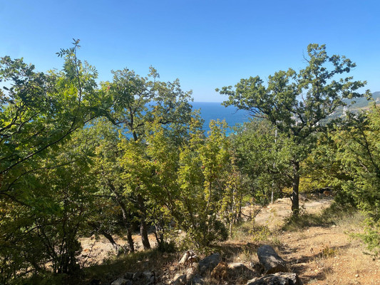 Продам участок 15 соток, ИЖС, Гаспра пгт, 0 км от города