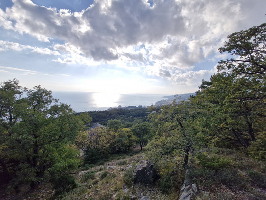 Продам участок 15 соток, ИЖС, Гаспра пгт, 0 км от города