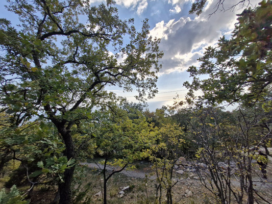 Продам участок 15 соток, ИЖС, Гаспра пгт, 0 км от города