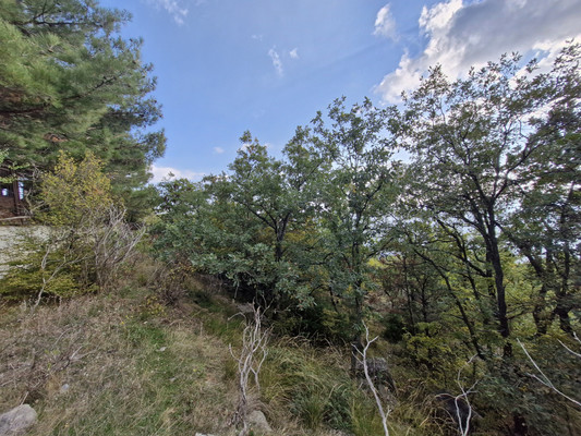 Продам участок 15 соток, ИЖС, Гаспра пгт, 0 км от города