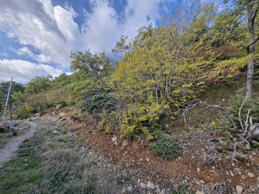 Продам участок 15 соток, ИЖС, Гаспра пгт, 0 км от города