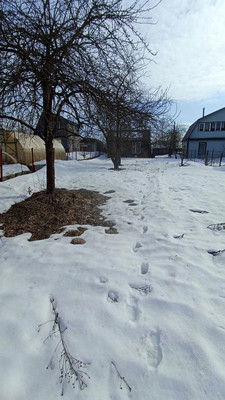 Продам дачу, Рязаново д, 0 км от города